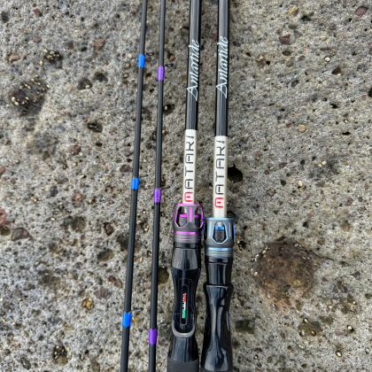 Canne da pesca