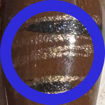 Koka Kola