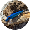 Xblue