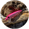 Xpink